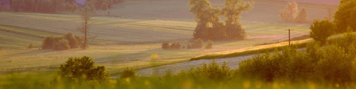 late summer afternoon in the countryside among the fields